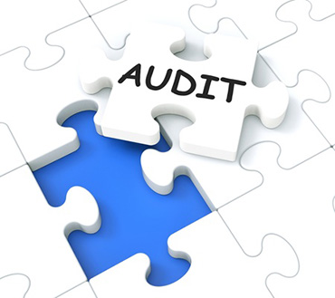Internal Audit